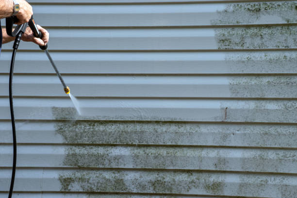Affordable siding repair and maintenance services in Jonesville, MI