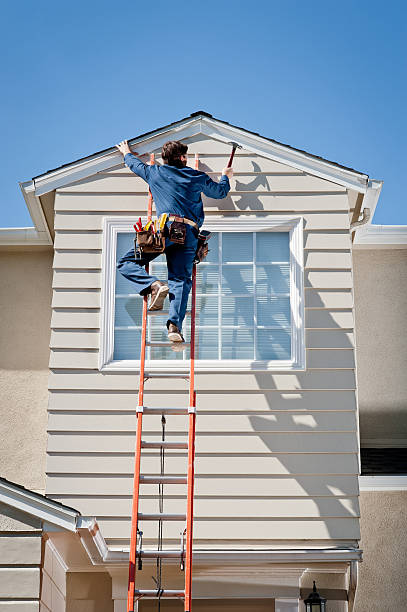 Best Siding Removal and Disposal  in Jonesville, MI