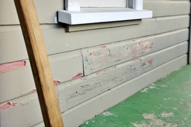 Best Insulated Siding Installation  in Jonesville, MI