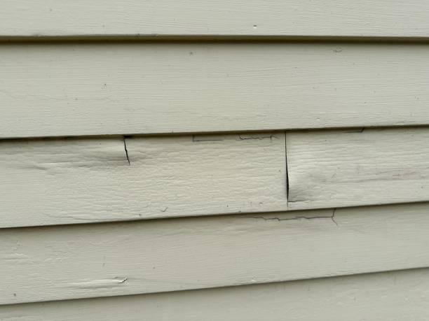 Best Brick Veneer Siding  in Jonesville, MI